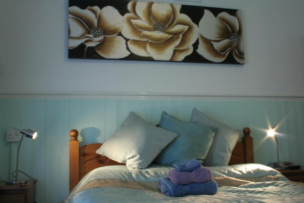 Devon View Guesthouse سوانسي الغرفة الصورة