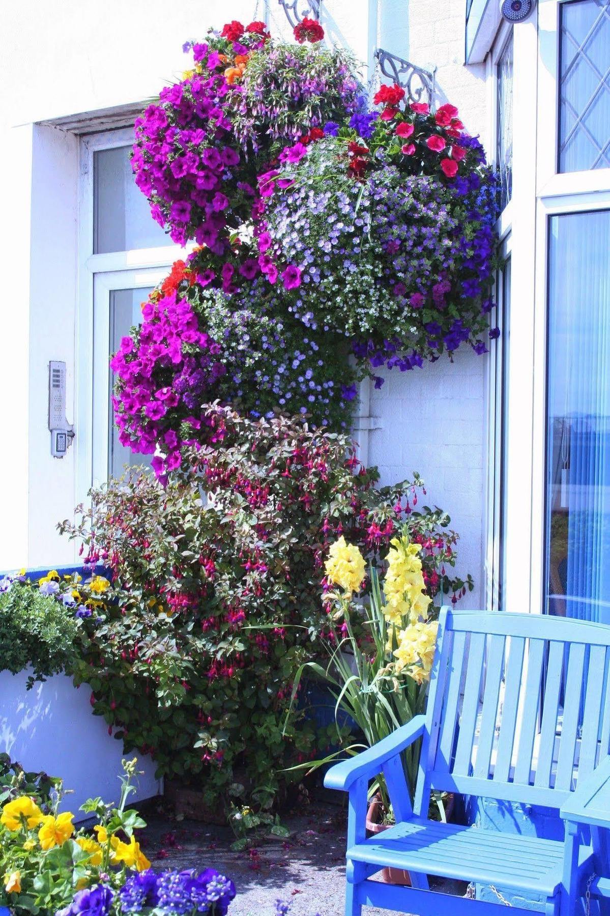 Devon View Guesthouse سوانسي المظهر الخارجي الصورة